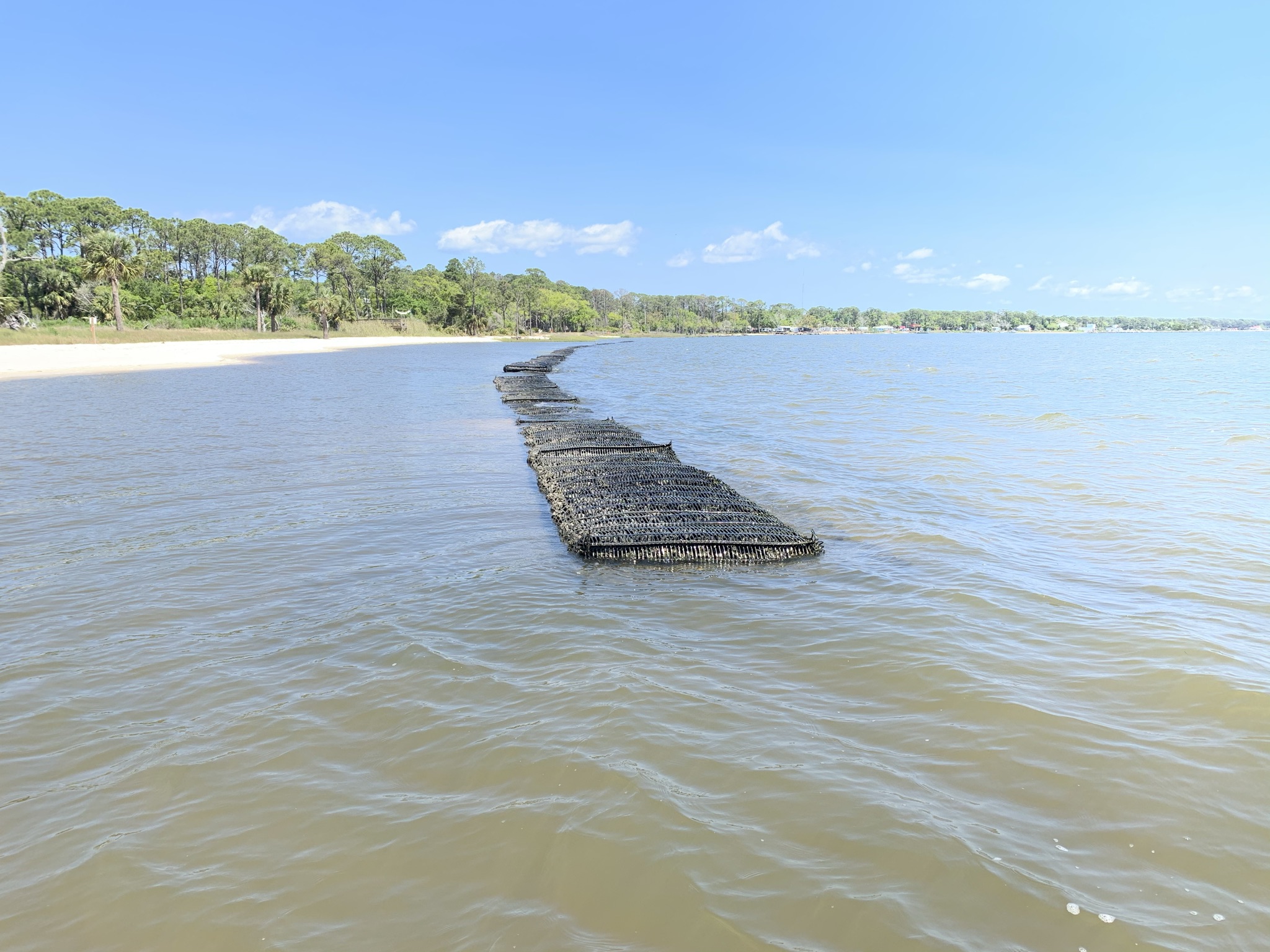 Cat Point Living Shoreline image