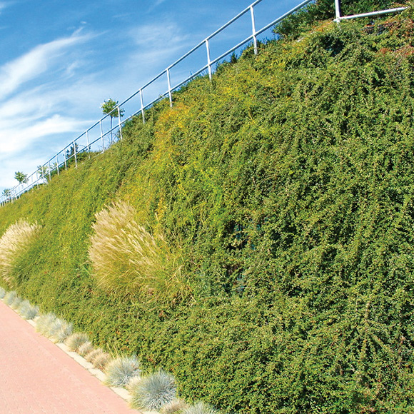 A sample of Sierra® Slope Retention System