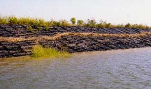 Savannah Riverbank Protection Project image