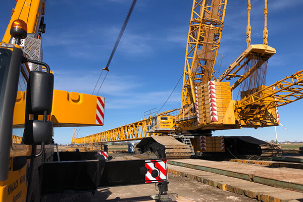 crane-(1).jpg crane-(1).jpg