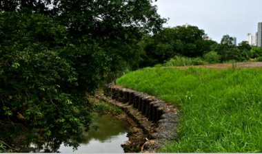 Colectora Río Curundú image