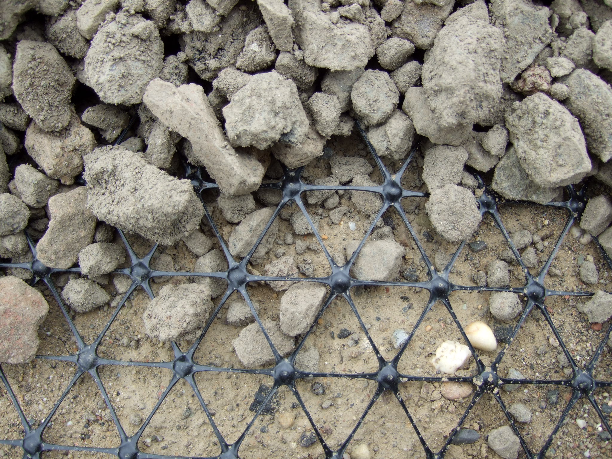 TriAx Geogrid